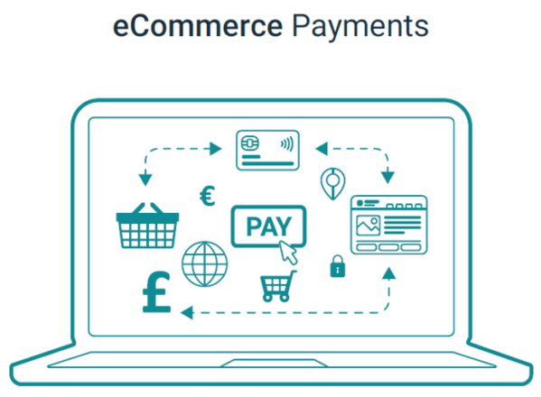 electronic money institution business plan