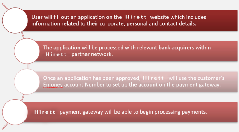 electronic money institution business plan